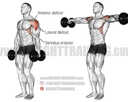 Lateral raises Workouts for Arm Flab