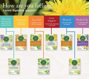 Best Organic Dandelion Root Tea Healthful Brew 2023