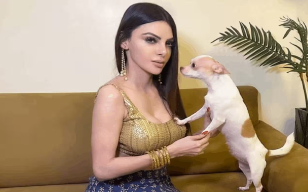 Bio of Sherlyn Chopra Bollywood Actress Successfully Life